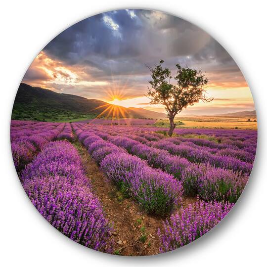 Designart - Sunrise & Dramatic Clouds Over Lavender Field VIII - Farmhouse Metal Circle Wall Art